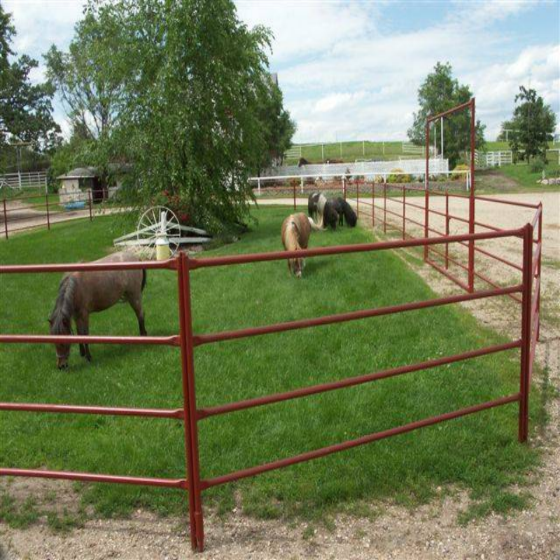 Horse Corral Fence