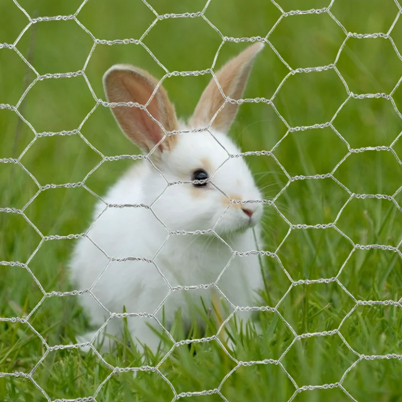 Hexagonal Wire Mesh